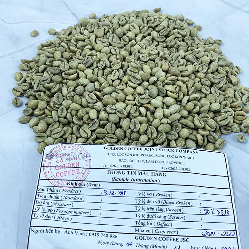 دانه های قهوه سبز روبوستا GOLDEN CAFE محصول ویتنام