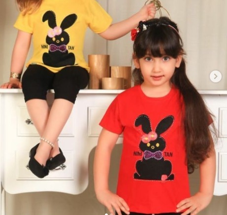 T-shirt design rabbit embroidery shorts