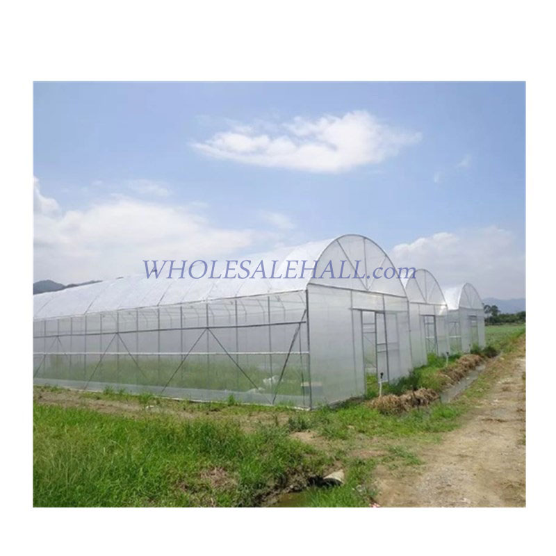 Single Span Hydroponic Growing System Greenhouse with Plastic Film