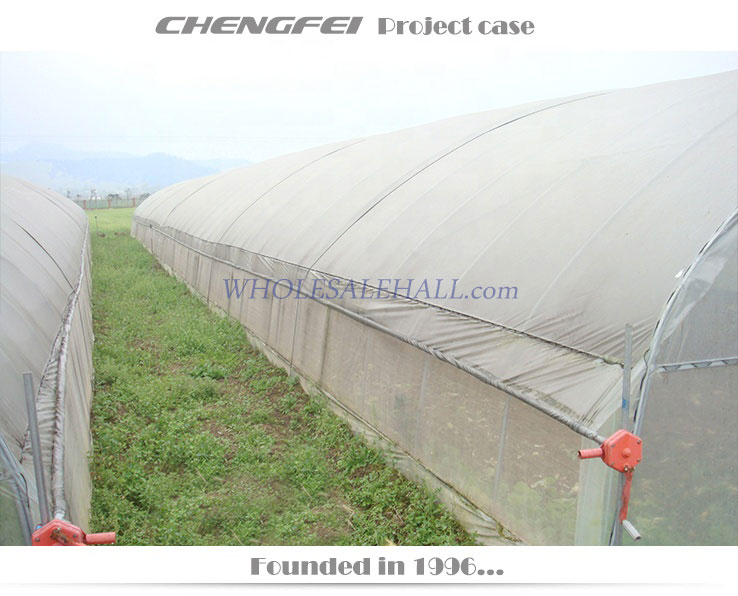 PEP Plastic Large Tunnel Greenhouse for Agriculture