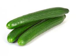 Cucumber - wholesale