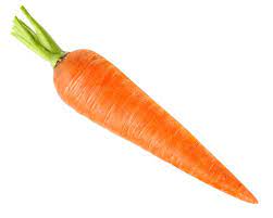 carrot-wholesale