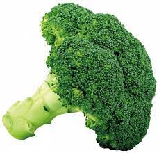 Broccoli_Wholesale