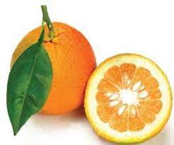 Orange - wholesale