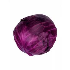 Red Cabbage_Wholesale