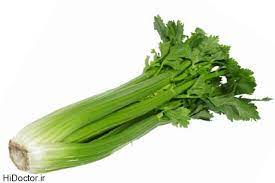 Celery_wholesales