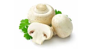 Mushrooms-Wholesale