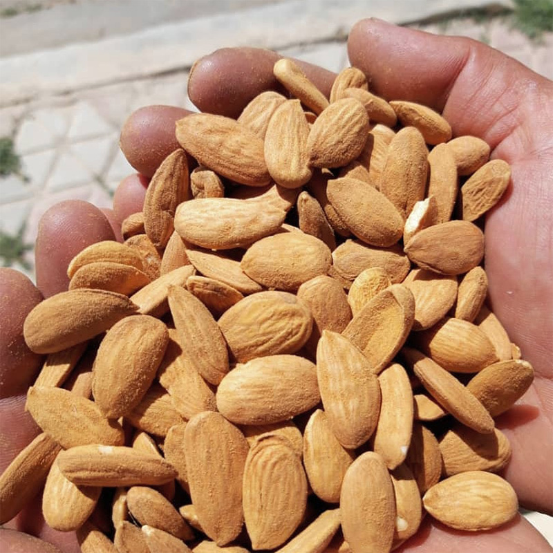 Zarim Almond kernels of foreign Keifiat Momtaz