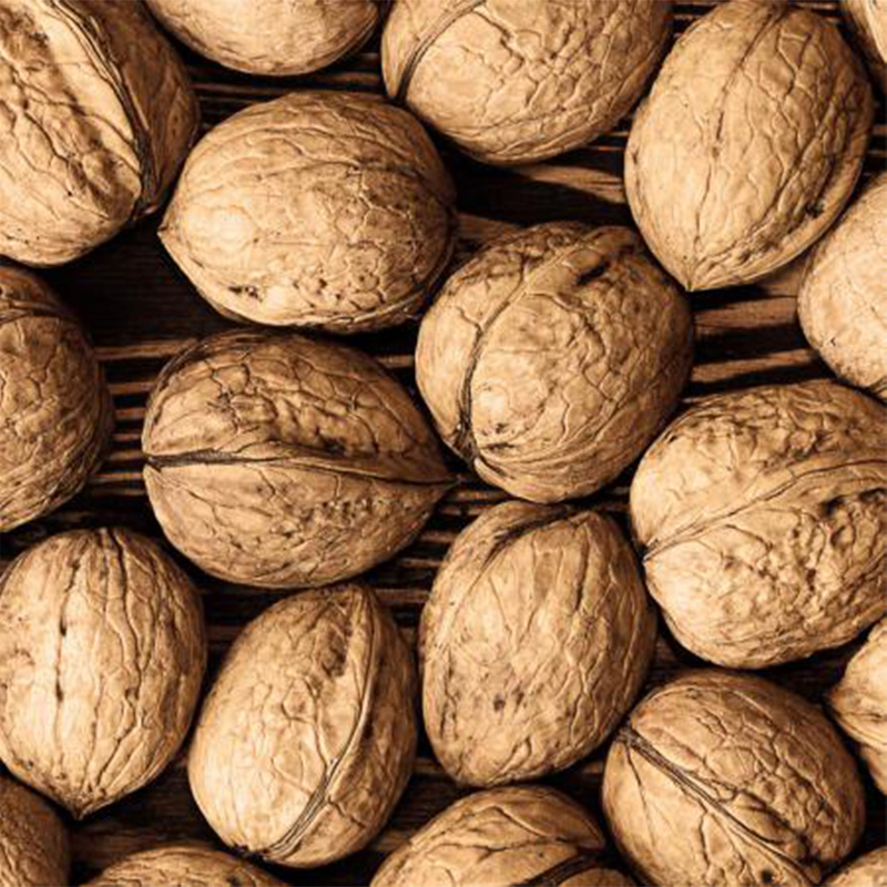 Chile walnut premium quality