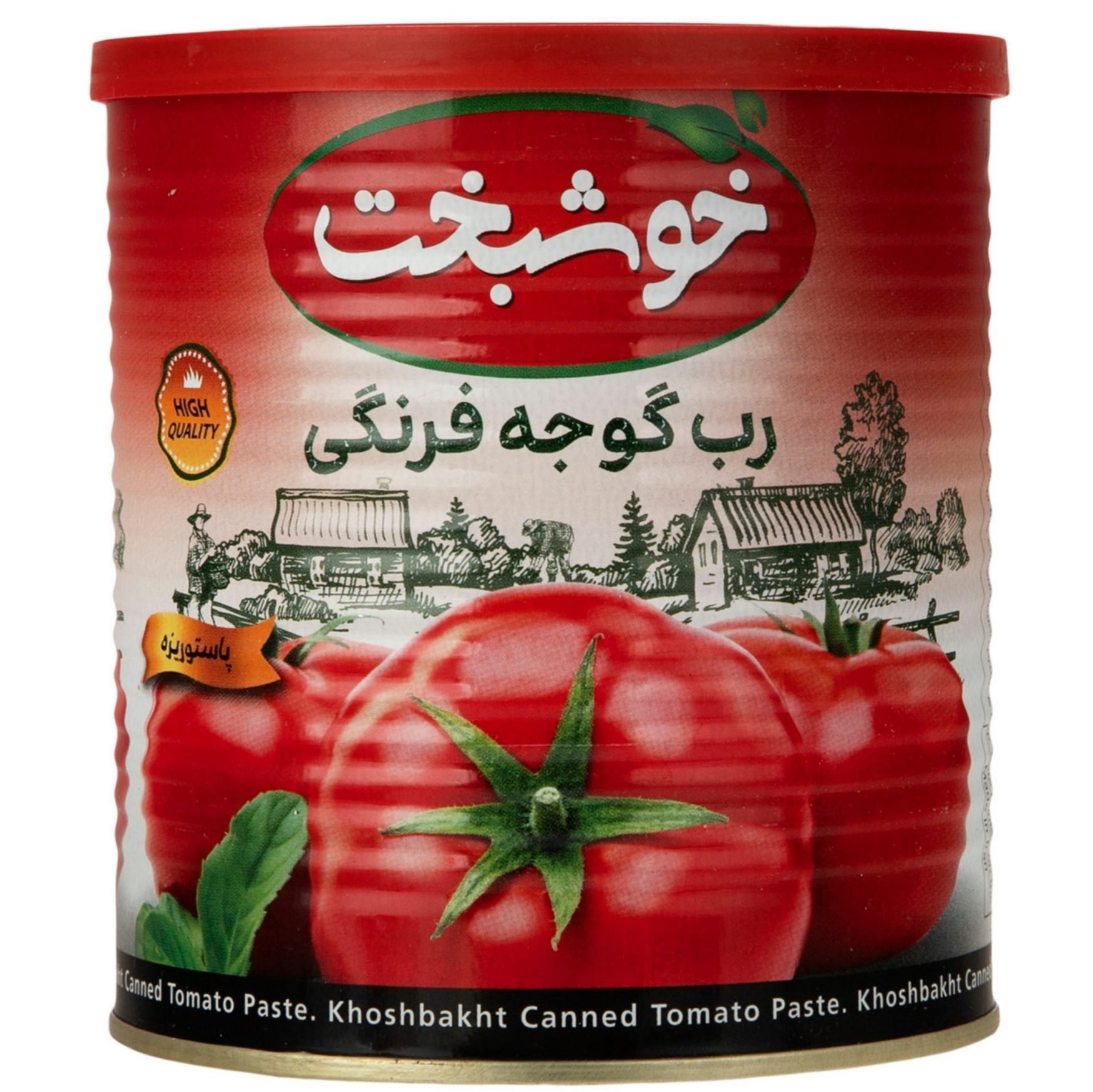 Khoshbakht Canned Tomato Paste 800 g 