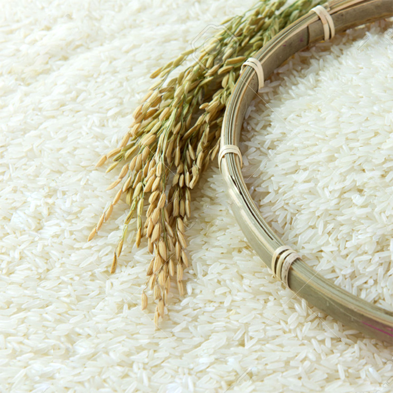 برنج خوشبو و دانه بلند جاسمین ویتنام HACCP, ISO9001-2008