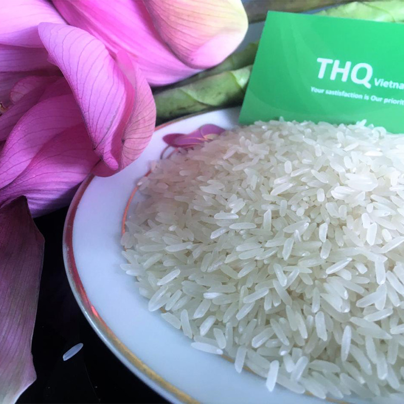 برنج دانه بلند سفید جاسمین ST24 با قیمت مناسب و تحویل سریع
