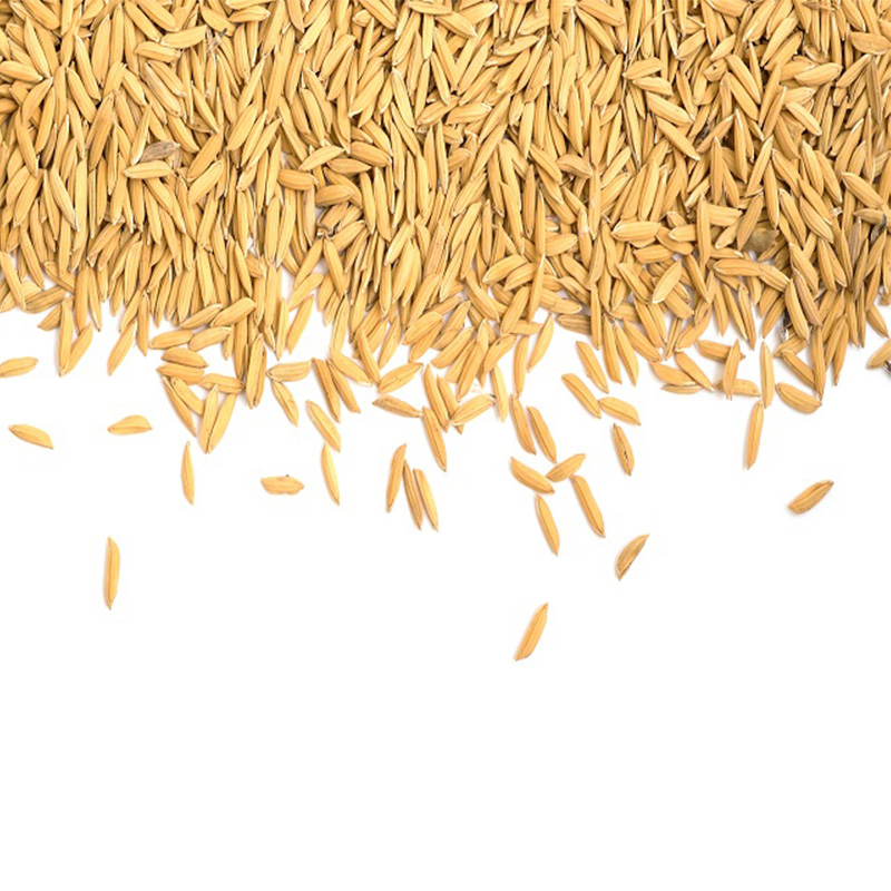 فروش عمده ی برنج فرآوری نشده ی 2021