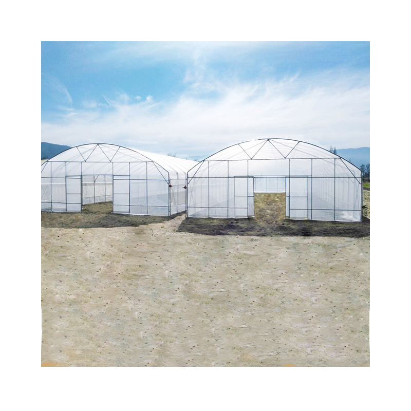 گلخانه های کشاورزی تجاری با تونل تک دهانه ومرتفع  در اندازه 9 متر * 50 متر 