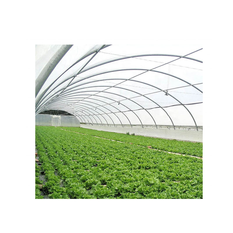  گلخانه کشاورزی از نوع خورشیدی با برند TYT