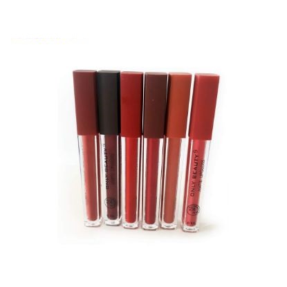 Waterproof liquid lipstick 12 stylish and attractive colors