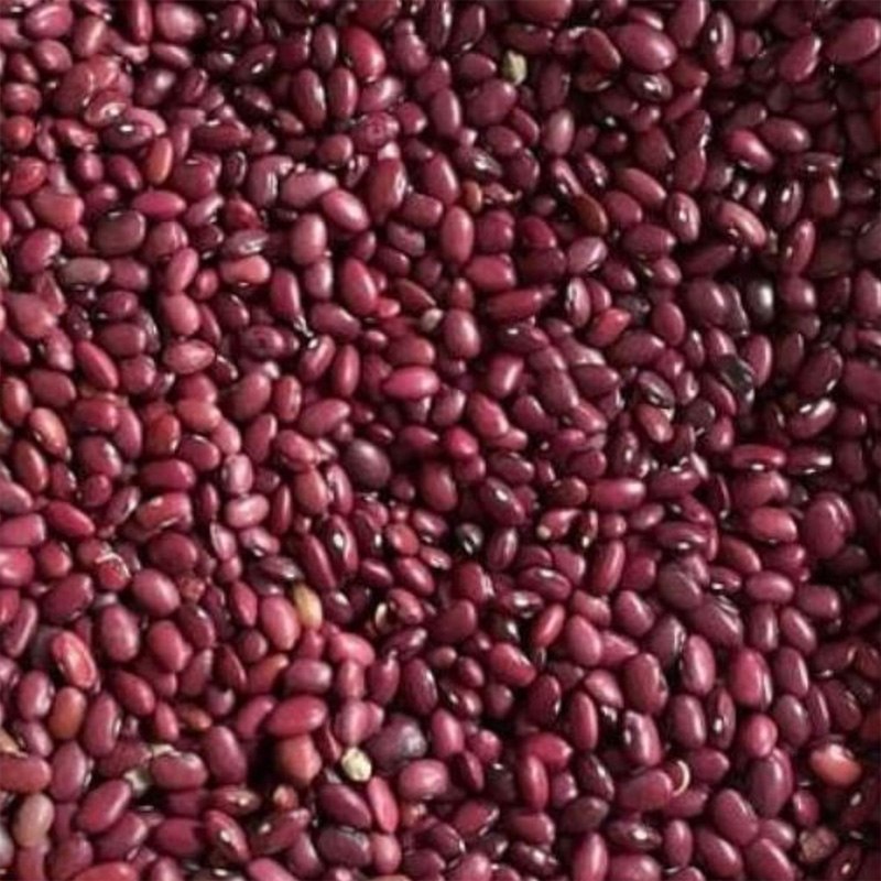 This year's first-class Dast chin red beans