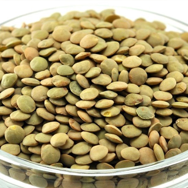Large  lentils  bulk in 10kg bags