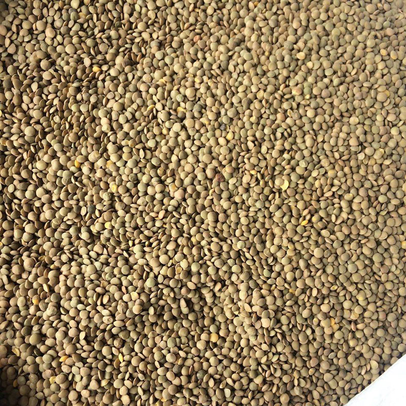 Tiny lentils bulk in 10kg bags