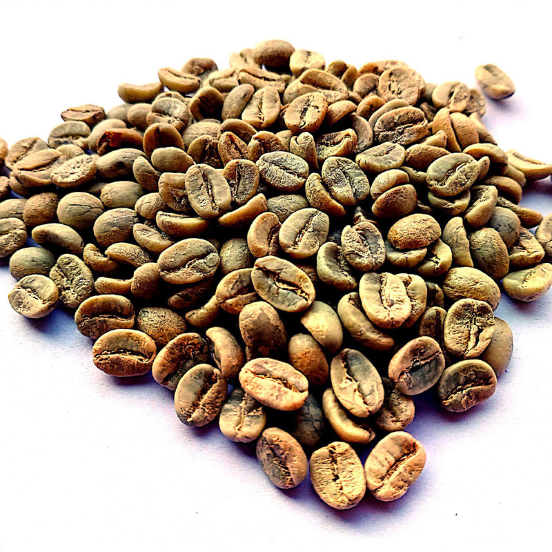 صادرات دانه های قهوه سبز با کیفیت / دانه های قهوه عربی