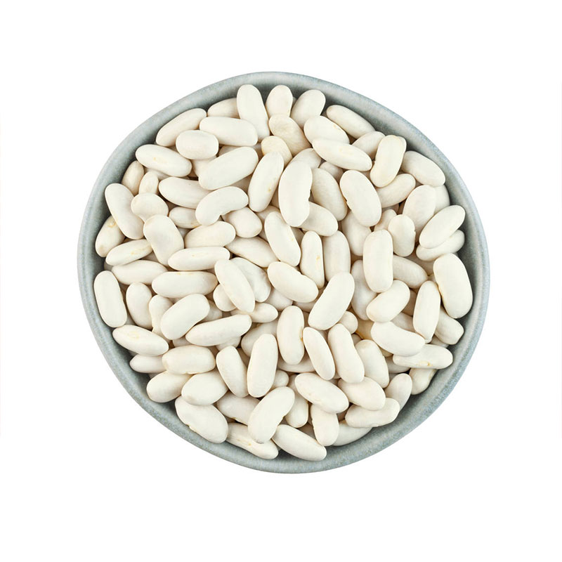 Large white beans, small, medium, rounded