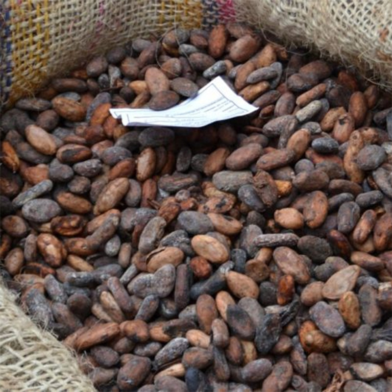 خرید عمده کاکائو درجه یک خشک شده با کیفیت خوب