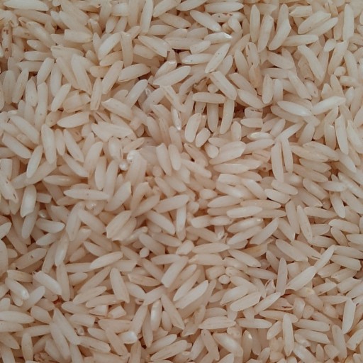 Excellent Kalat rice