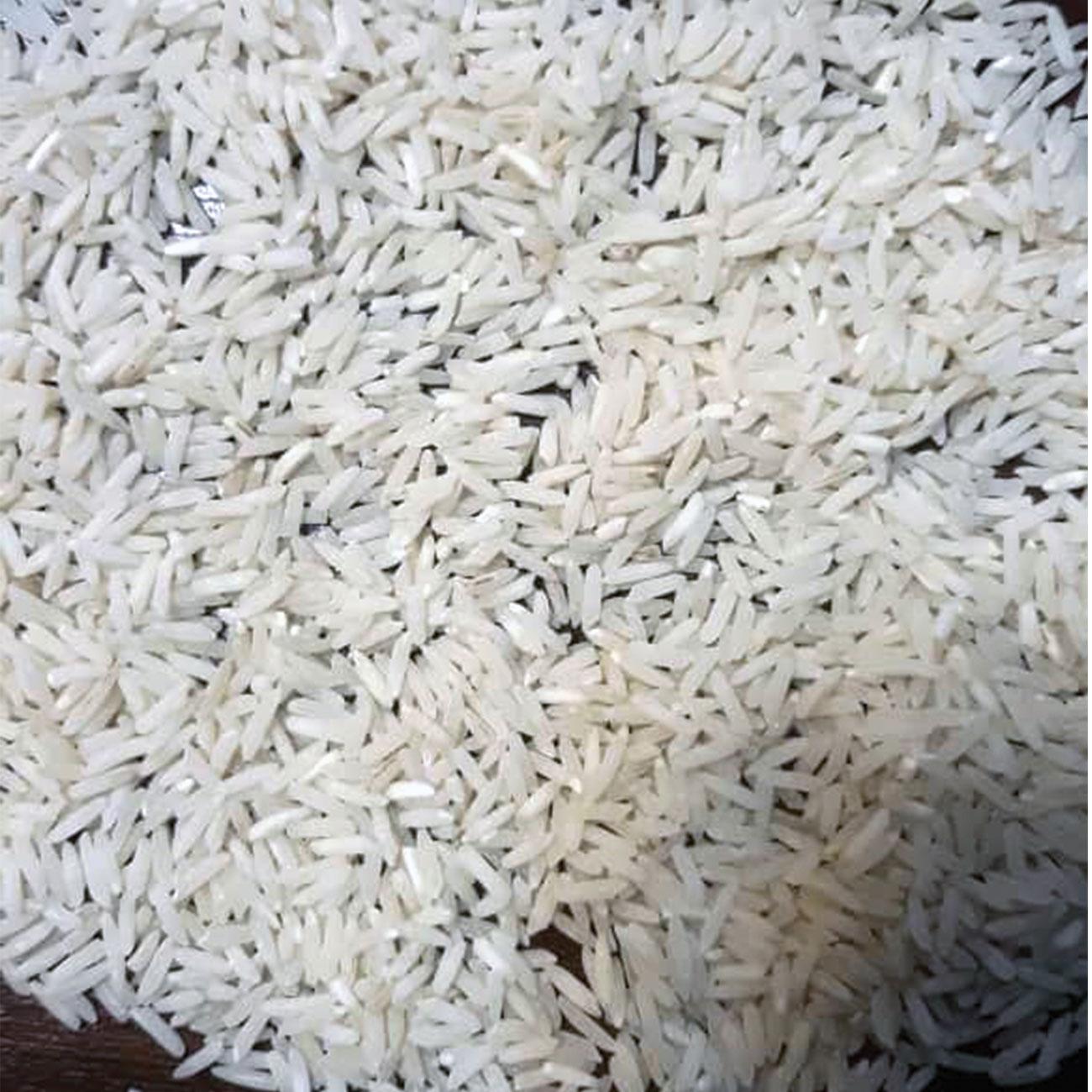 North Fajr rice