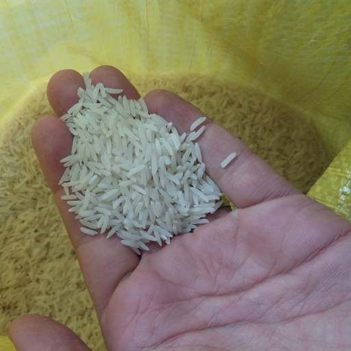 Five -star Tarom rice