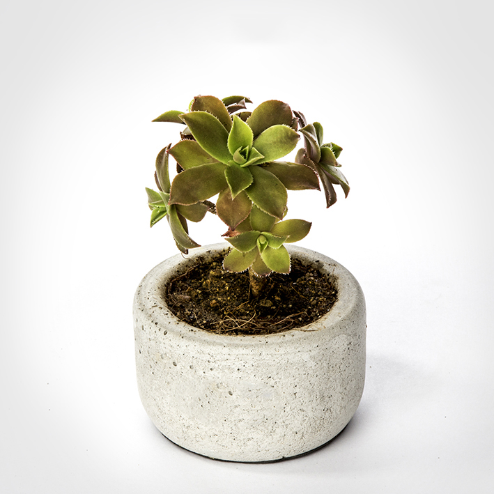 Small custom handmade round concrete vase code Dco6