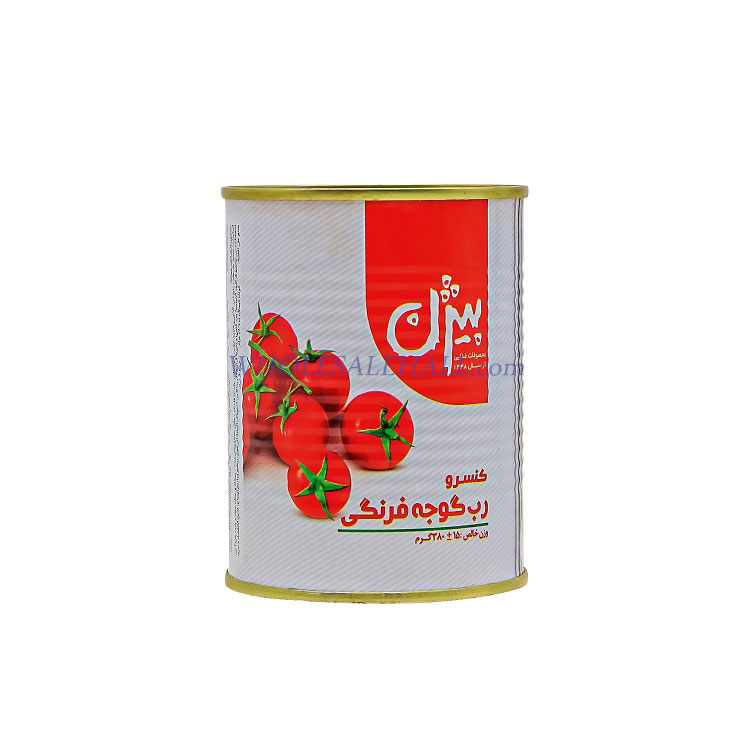 Canned Tomato Paste 380 grams Bijan