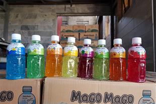 Pet Pet Seed Drink (Mogu Mogu Design) with Auta Brand Orange Taste
