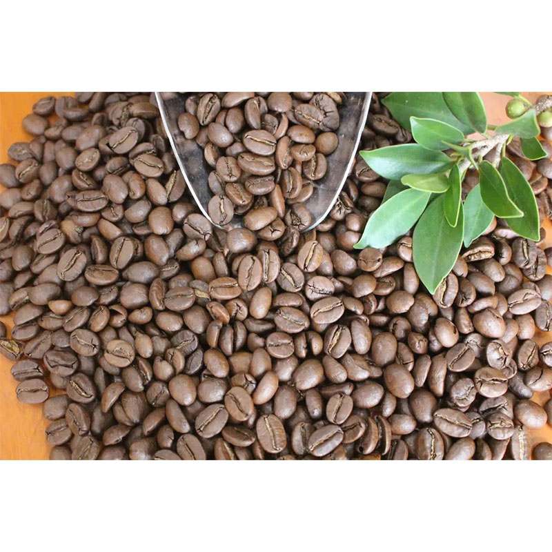 دانه های قهوه عربیکا خام Han Vinh محصول ویتنام