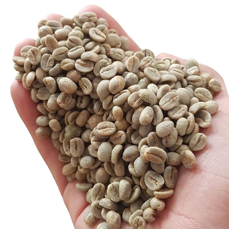 دانه های قهوه عربیکا از مزرعه های برزیل
