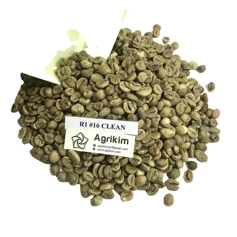 خرید عمده دانه های قهوه روبوستا AGRIKIM محصول ویتنام