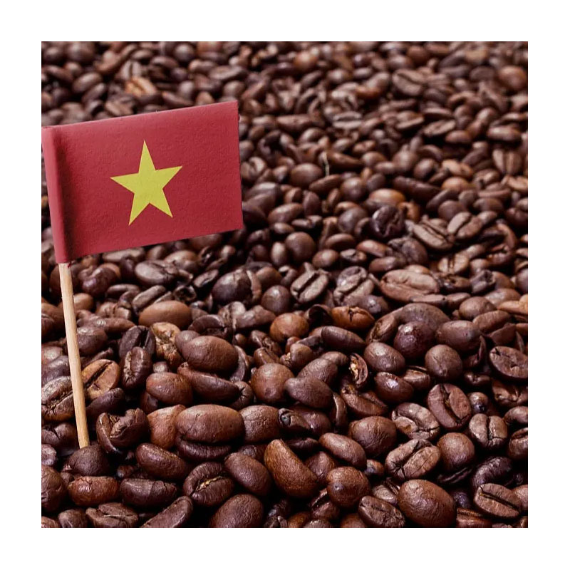 خرید عمده دانه های سبز قهوه روبوستا Top Cargo محصول ویتنام