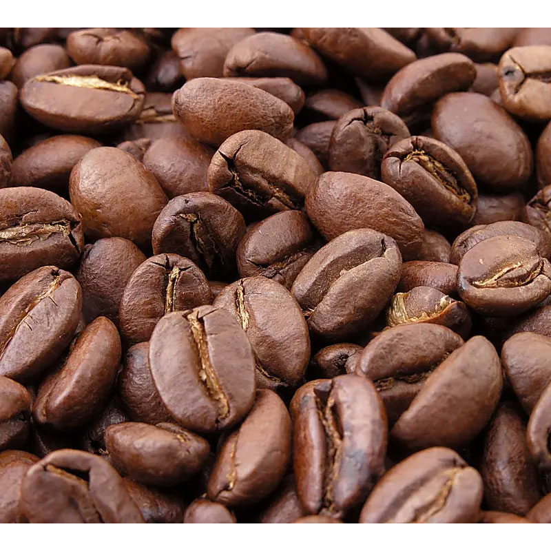 خرید عمده دانه های قهوه عربیکا Shrekha Creations محصول هند