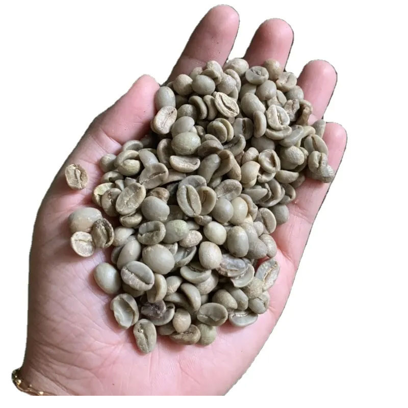 خرید عمده دانه قهوه عربیکا ROBUSTA COFFEE محصول ویتنام