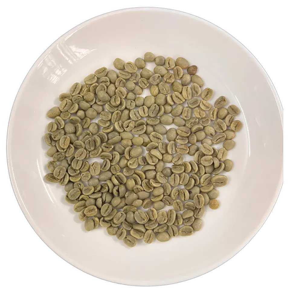 خرید عمده دانه قهوه سبز عربیکا، محصول ویتنام، یک سال ماندگاری