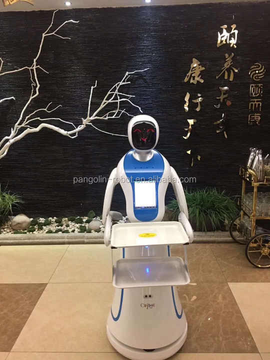 خرید عمده ربات تحویل سفارش چینی 45کیلویی
