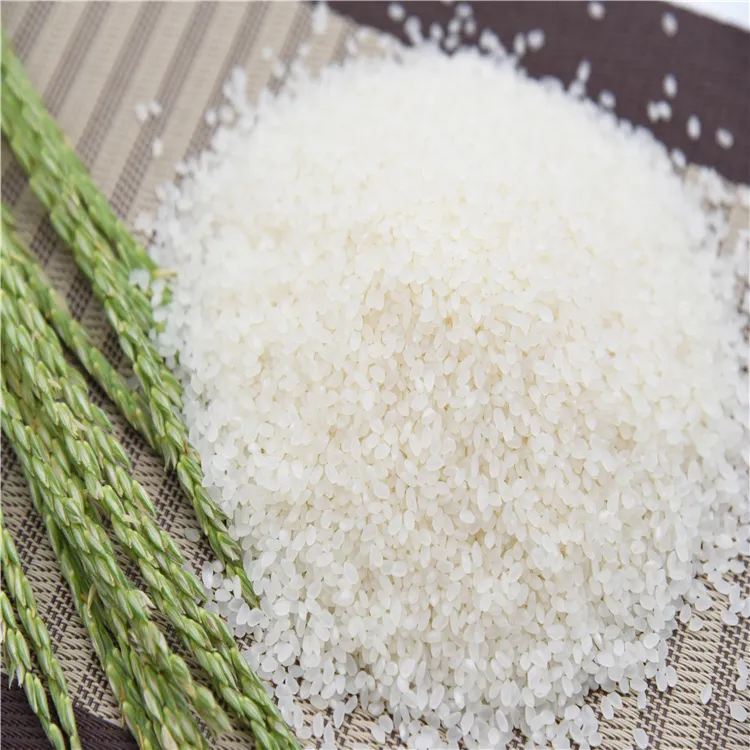 خرید عمده برنج Jasmine دانه بلند سفید بافت نرم محصول کشور ویتنام