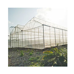 wholesale Gothic Greenhouses Tropical hydroponic growing Multi-span greenhouses tomato sawtooth green house Gable Serre