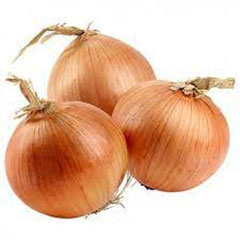 wholesale Yellow onion- Wholesale