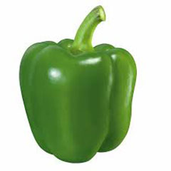 wholesale Green Grilled Pepper_Wholesale