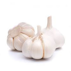 wholesale Dried garlic_wholesales