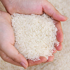 خرید عمده برنج سفید دانه بلند معطر جاسمین 