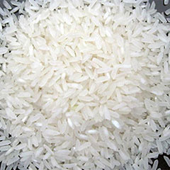 خرید عمده برنج دانه بلند