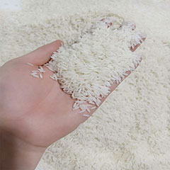 خرید عمده برنج دانه بلند سفید با 5 درصد خرد با بهترین قیمت