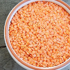 wholesale The lentils of the premium quality