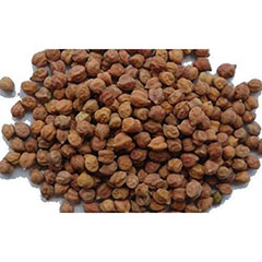 wholesale Brown chickpeas